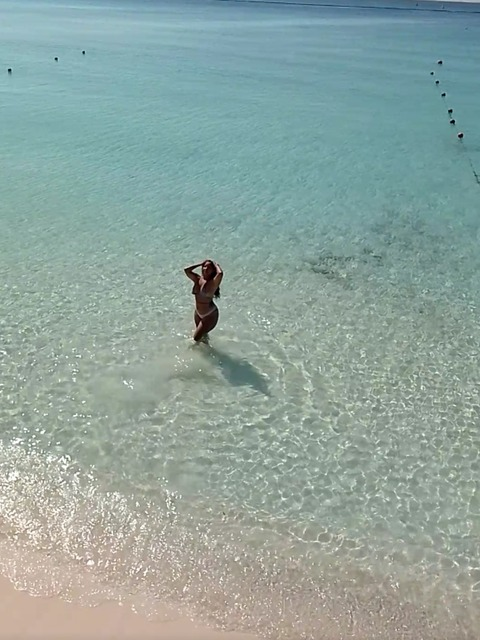 Header of abbyleon_1499