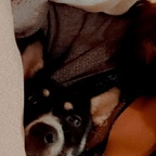 Onlyfans leaks alissrodriguez 

 profile picture