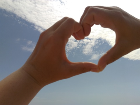 Header of angelallean