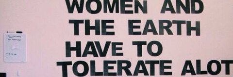 Header of anikapaprika