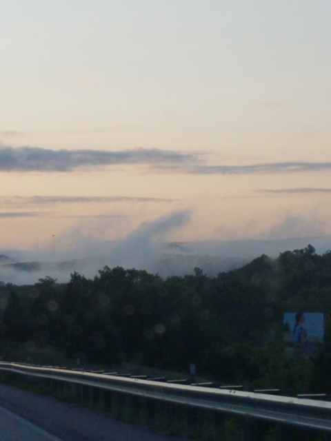 Header of artemisfoul1028