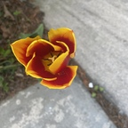 babydoll360 OnlyFans Leaked 

 profile picture