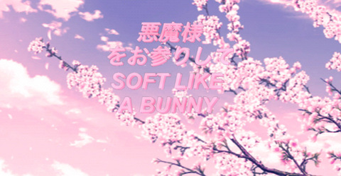 Header of blxxdbunny