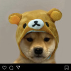 Download bunniebby OnlyFans content for free 

 profile picture