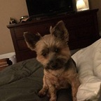 chellb OnlyFans Leaks 

 profile picture