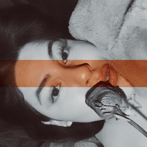 Header of cherrryboom