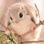 Free access to (cuntnugget) Leaks OnlyFans 

 profile picture