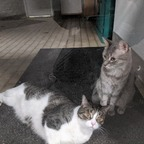 davkdgreytheonly1 OnlyFans Leaked Photos and Videos 

 profile picture