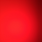 Download didii OnlyFans leaks for free 

 profile picture