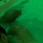 Download dolllllll OnlyFans content for free 

 profile picture