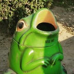 fappinfrogs profile picture