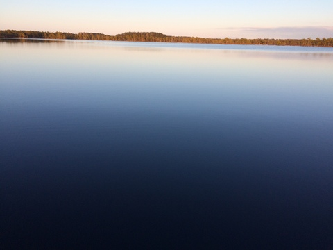 Header of feralgirlfriend