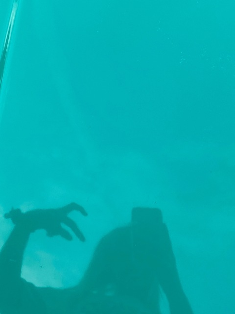 Header of florenceee44