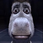 Download kittycat222 OnlyFans videos and photos for free 

 profile picture