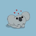 koalabear92 profile picture