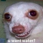 Download liljuli OnlyFans leaks for free 

 profile picture