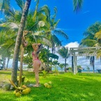 Onlyfans leak maryfine 

 profile picture