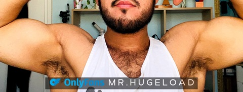 Header of mr.hugeload
