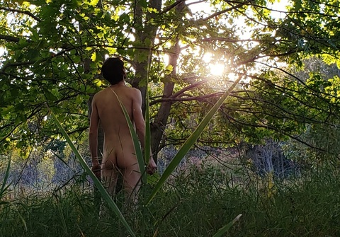 Header of naked.forest