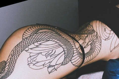 Header of nau.se.a