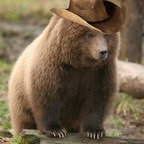 Download nbhoe OnlyFans content for free 

 profile picture