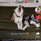 nefereti (Neferet) OnlyFans Leaked Pictures and Videos 

 profile picture