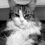 ninovka OnlyFans Leaked 

 profile picture