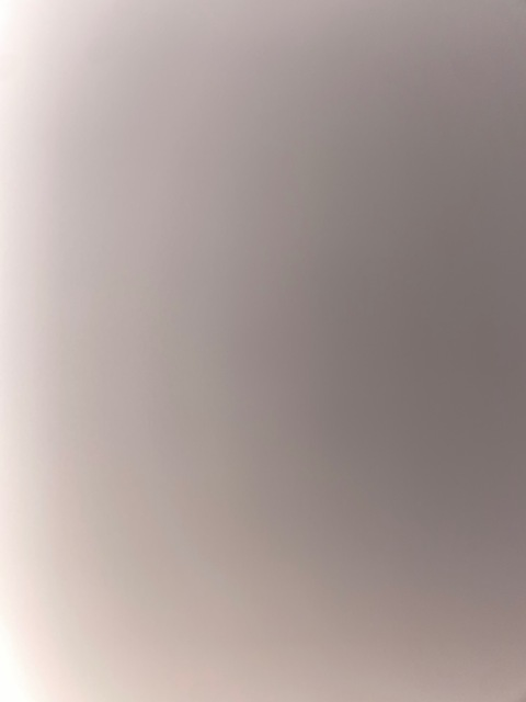 Header of oliviamaee7