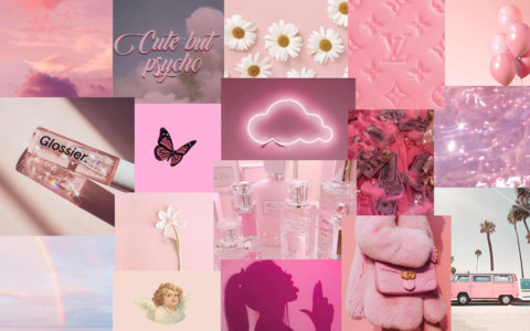 Header of preshinpink