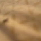 rubisdymond (Rubi) OnlyFans Leaked Pictures and Videos 

 profile picture