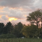 Download sanative OnlyFans videos and photos for free 

 profile picture