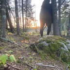 scarlettnight66 OnlyFans Leaked 

 profile picture