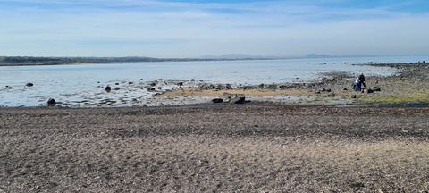 Header of scottishhammer