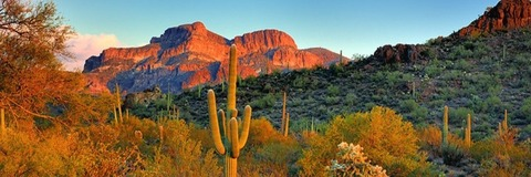 Header of sonoranstud