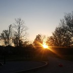 toxic.queen OnlyFans Leak 

 profile picture