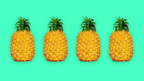 Header of u224774260