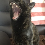 u67181577 (u67181577) OnlyFans Leaked Pictures and Videos 

 profile picture