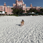 wyst3ria OnlyFans Leaked 

 profile picture