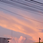 xxsunbaexx (XxsunbaexX) free OnlyFans Leaked Pictures & Videos 

 profile picture