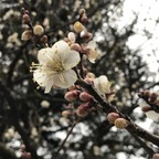 yukiyuki OnlyFans Leak 

 profile picture